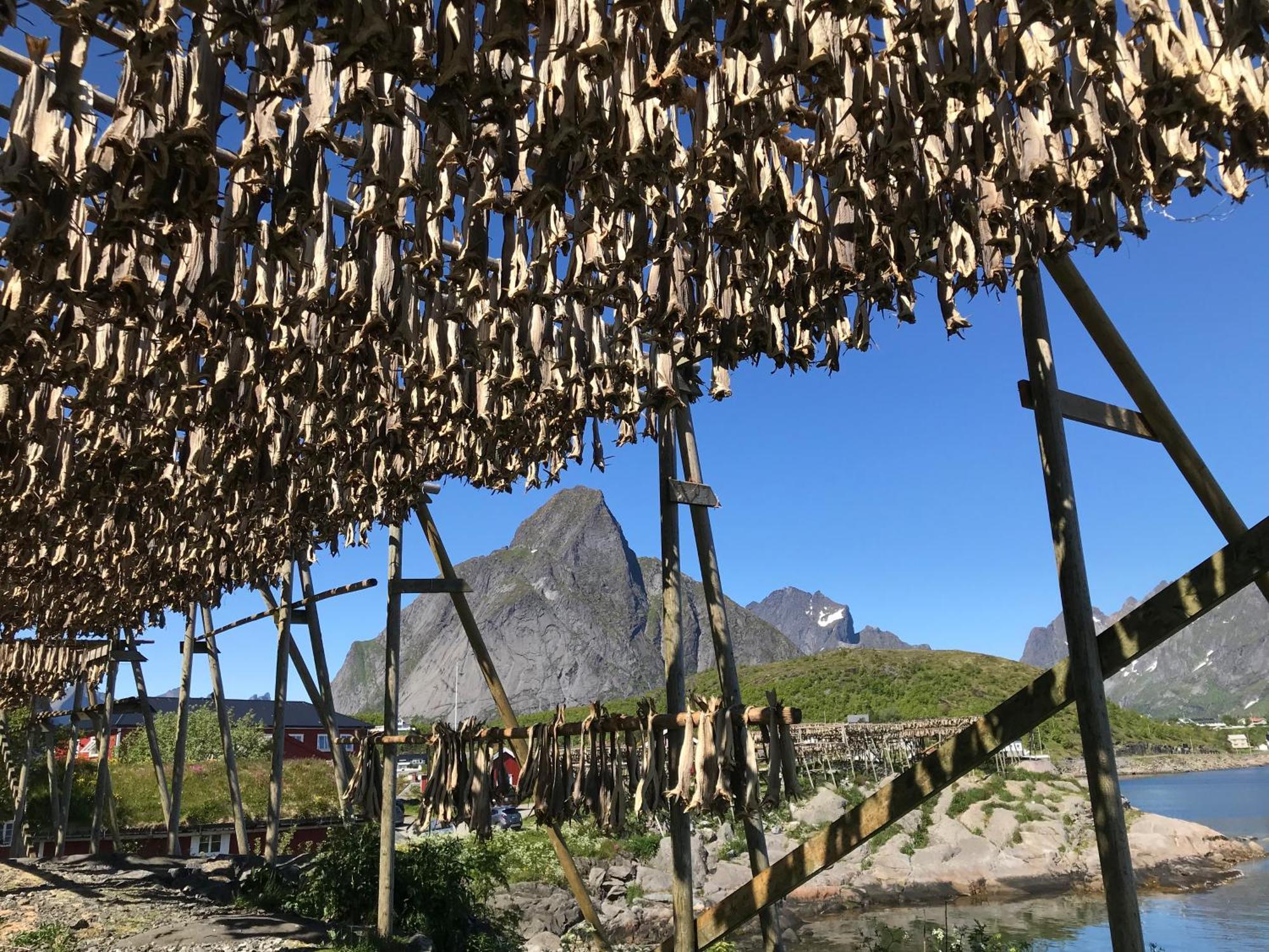 Chalet Superior Lofoten
